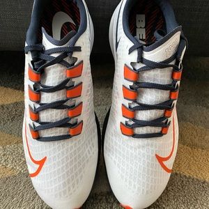 Nike Pegasus Bears Edition Shoes